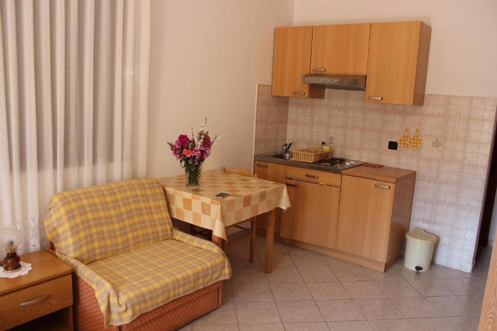Apartments Manuel Novigrad  Zewnętrze zdjęcie