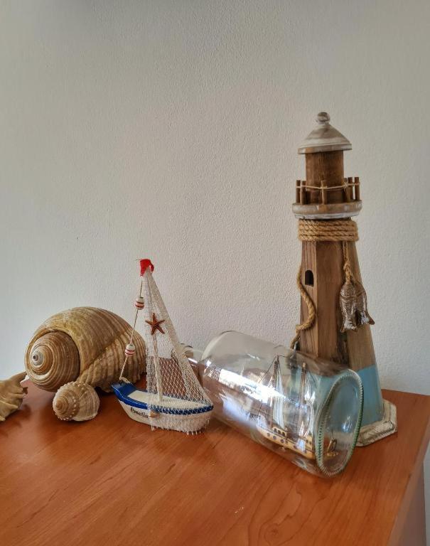 Apartments Manuel Novigrad  Zewnętrze zdjęcie