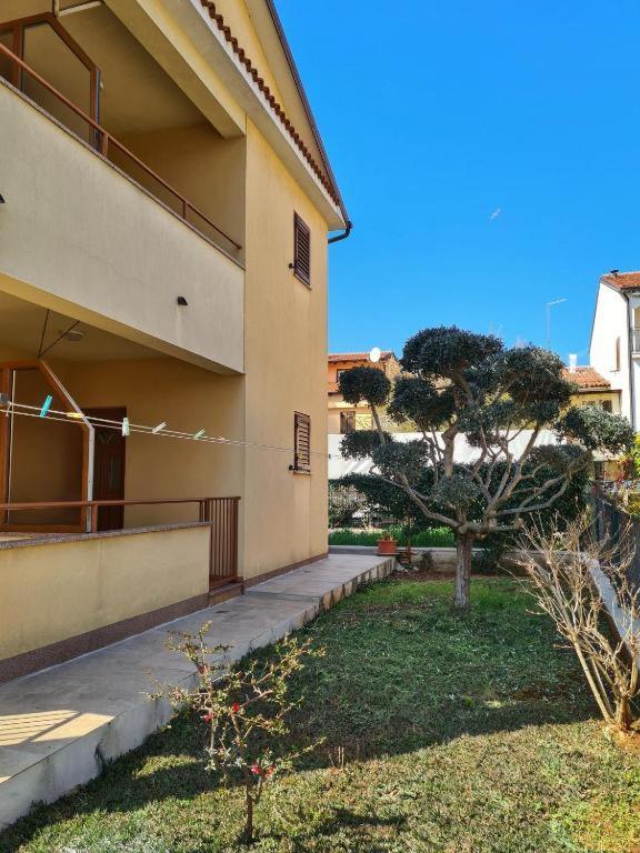 Apartments Manuel Novigrad  Zewnętrze zdjęcie